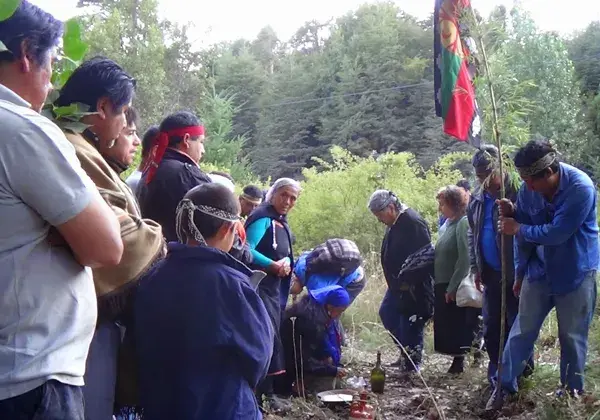 El conflicto mapuche en Angostura escala a nivel internacional: la CIDH exige respuestas en un mes