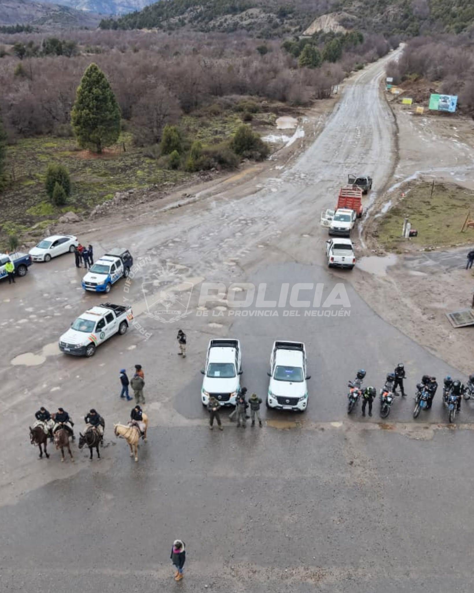 Realizaron un operativo sobre la Ruta 40 para prevenir accidentes por animales sueltos