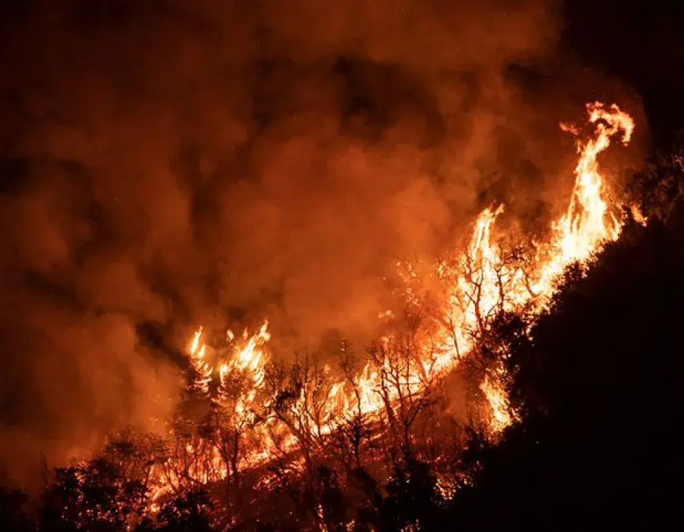 Un estudio del Conicet confirma que los incendios forestales afectan la calidad del agua en la Patagonia durante años