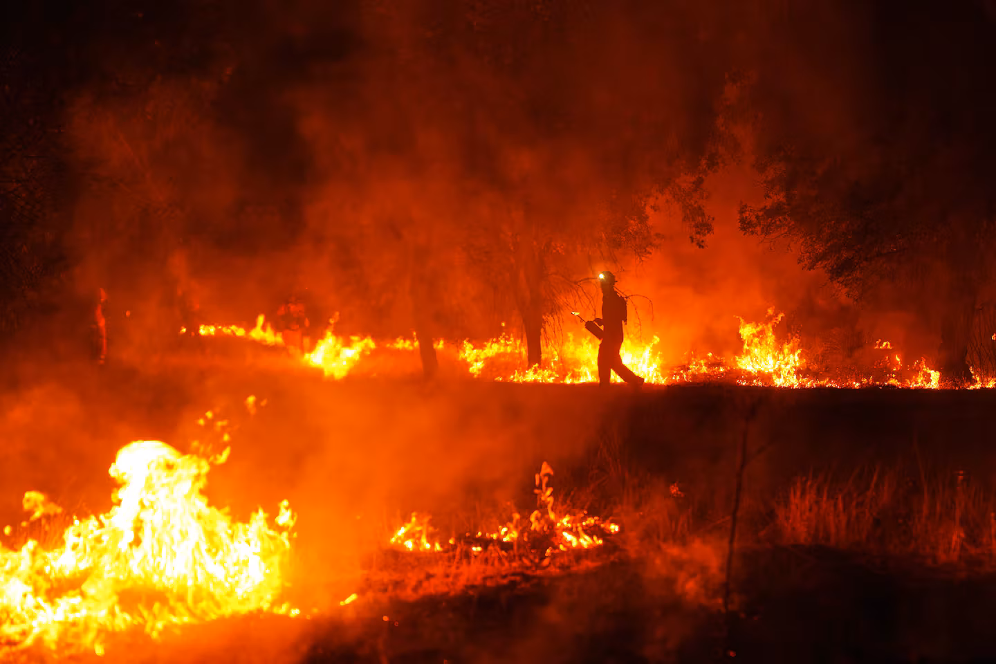Crece la ola de incendios en Europa: las llamas se extienden a Grecia, Portugal, Inglaterra y Turquía