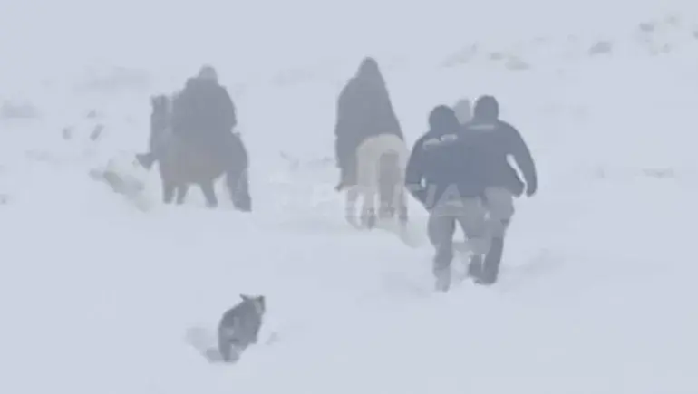 Rescate extremo en medio de la nieve: una familia quedó varada más de un día y fue auxiliada en el interior neuquino